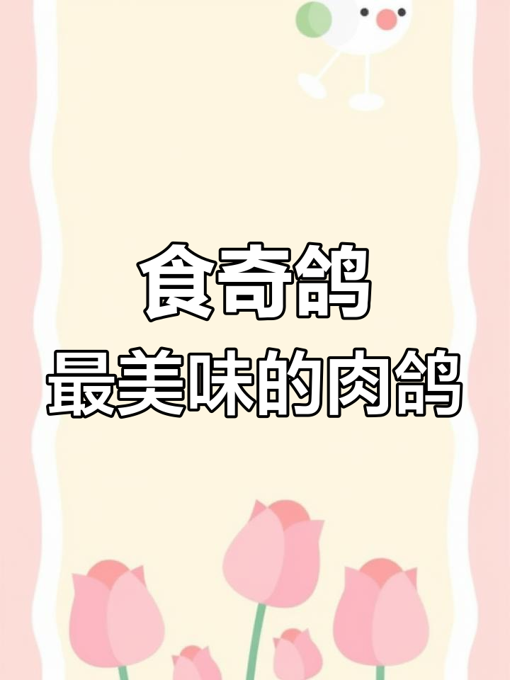 石岐鸽:中国最著名的肉用鸽子,味道鲜美如丁香花