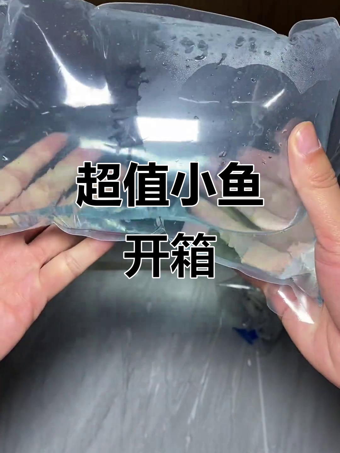 买了几条小鱼,超值又可爱!冷水鱼和热带鱼的混养体验