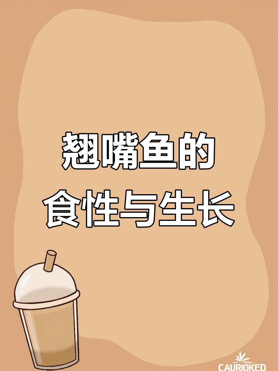 翘嘴鱼:吃小杂鱼虾,快速成长的经济型鱼类