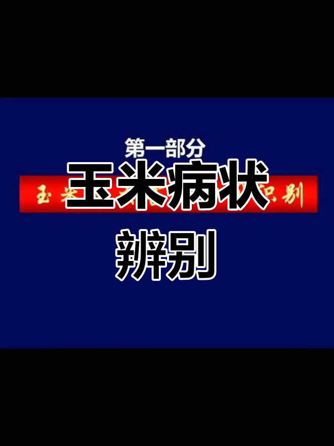 玉米病害全解析,常见与罕见症状汇总