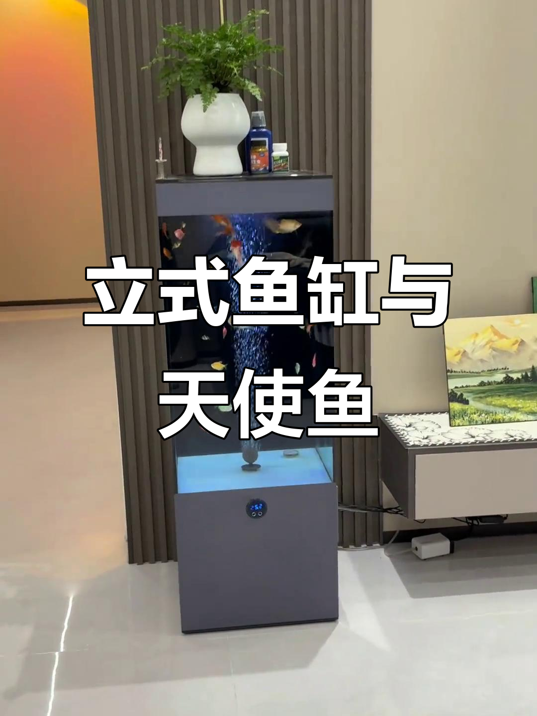 客厅立式鱼缸,天使鱼畅游其中