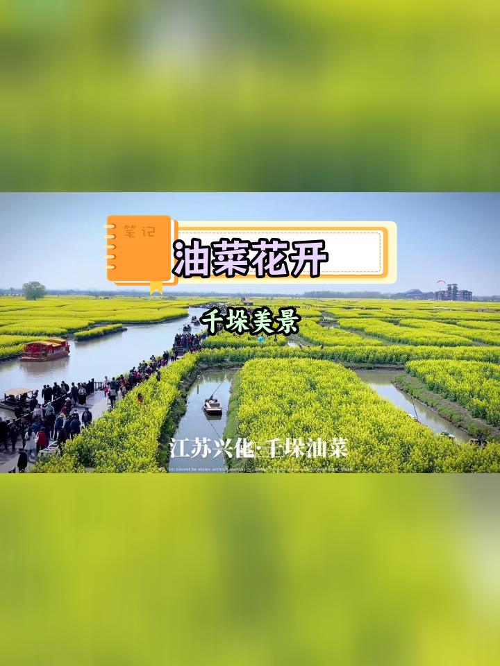 江苏兴化千垛景区:油菜花海与水乡风光
