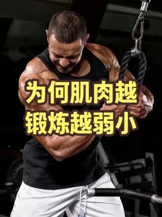 为何肌肉越锻炼越弱小?