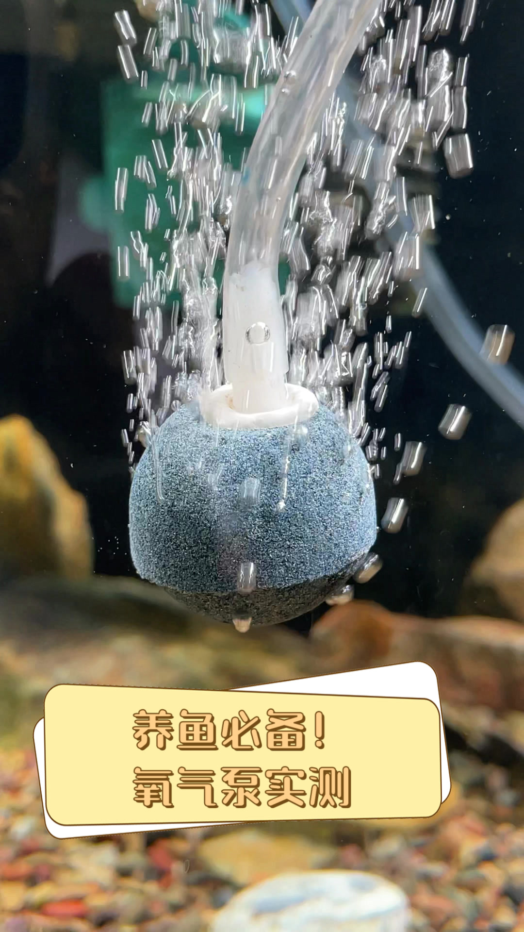 养鱼必备！氧气泵实测