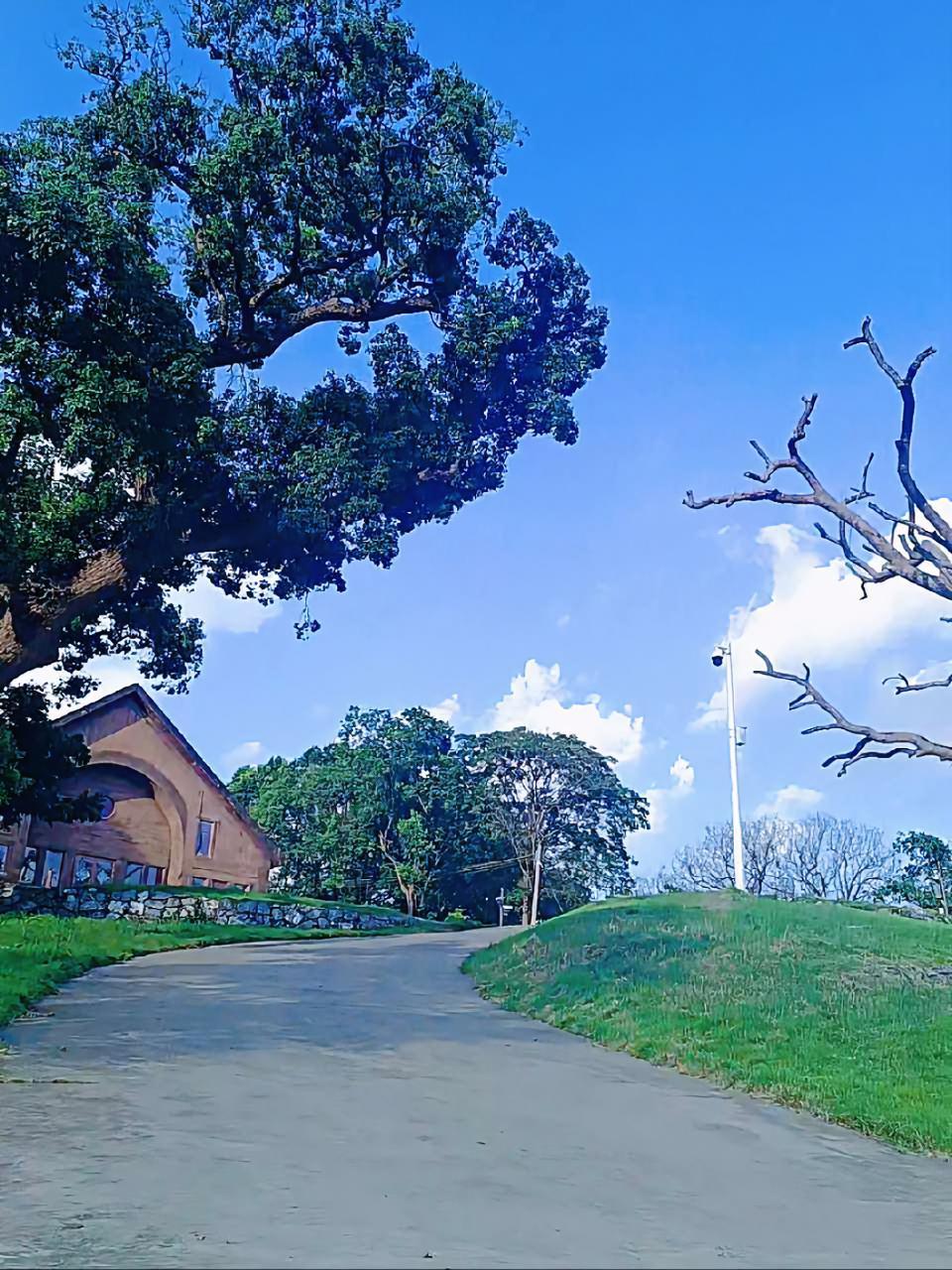 风景如画的地方 韶关浈江区梨市镇大村,华南教育历史研学基地 古村落风景 最美乡村风景 美丽