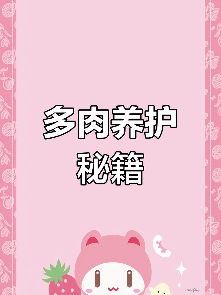 金蝉美人多肉,轻松养护,新手必看!