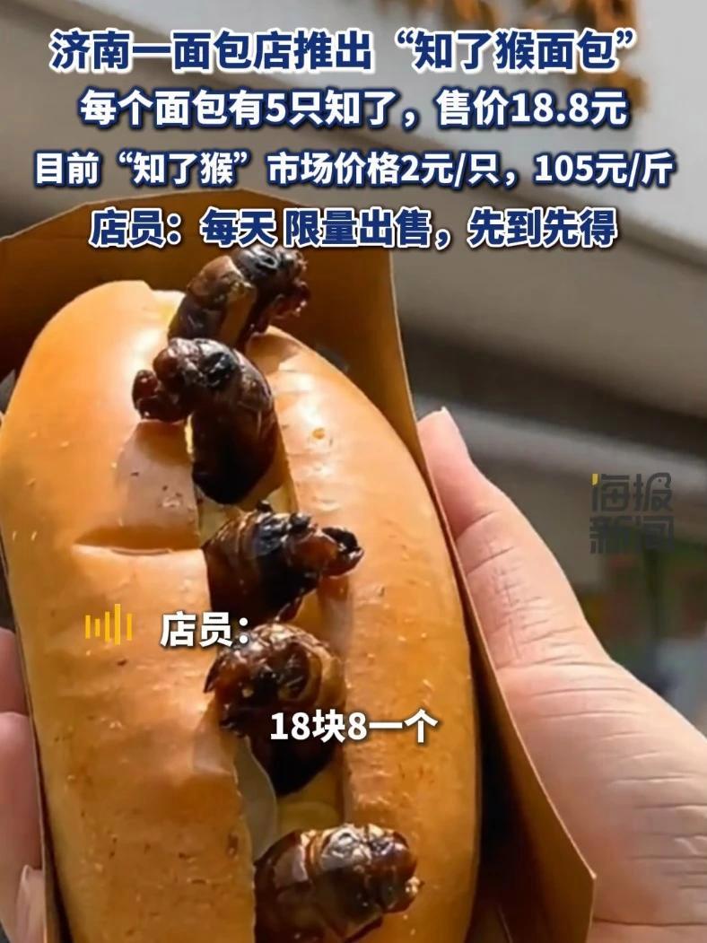 济南一面包店推出“知了猴面包” 每个面包有5只知了，售价18.8元，店员：每天限量出售，先