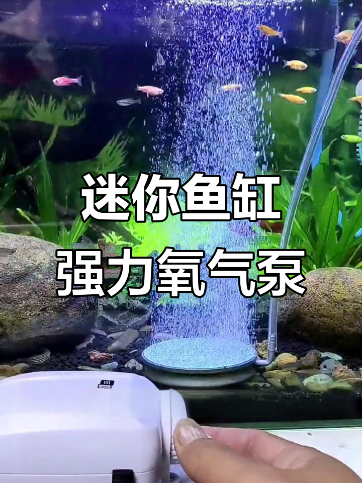 小巧鱼缸增氧泵，双孔调节气压强劲