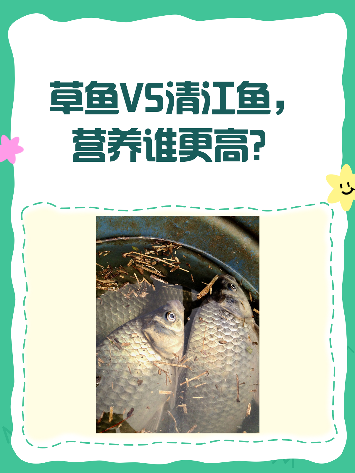 草鱼VS清江鱼,营养大战谁更胜一筹?