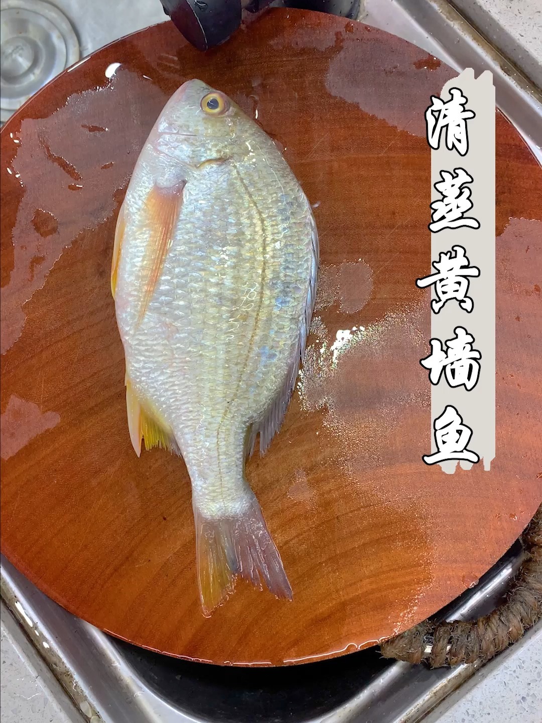 黄墙鱼又叫黄脚立只有清蒸才能配得上这条鱼