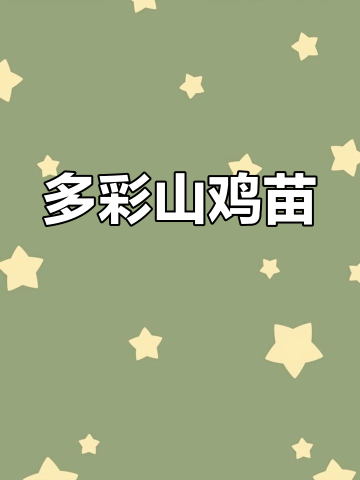 七彩山鸡苗,色彩斑斓的美丽小生命