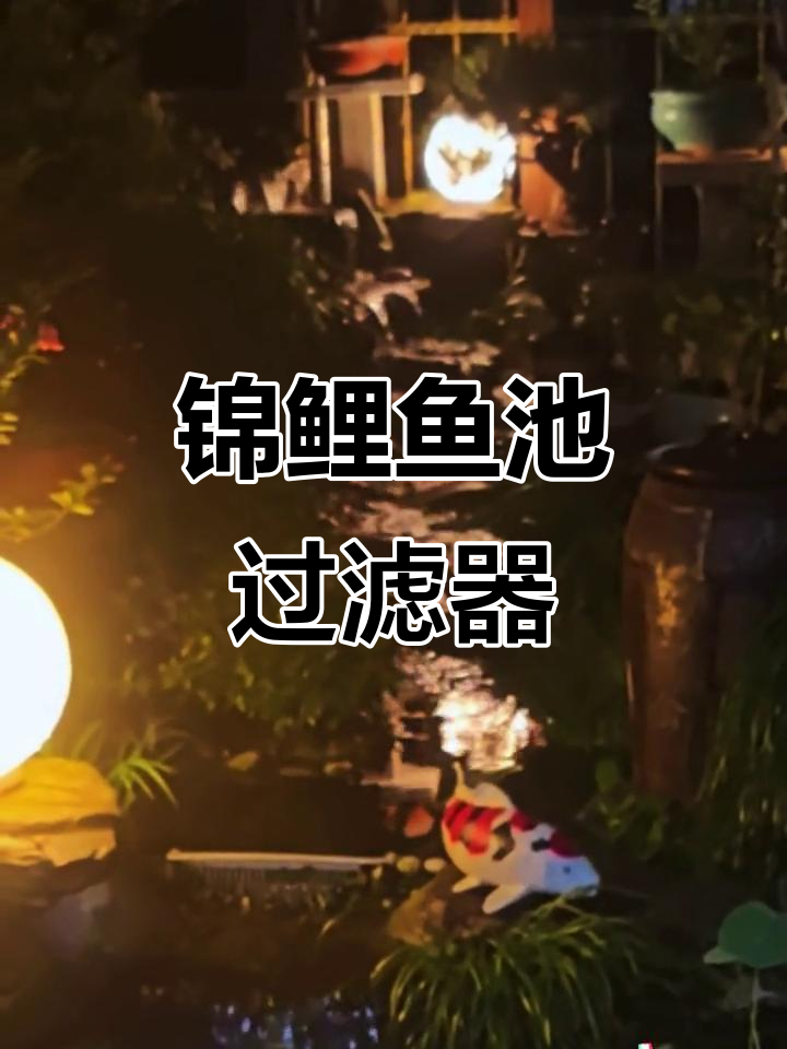 锦鲤鱼池过滤系统，让水质更清澈