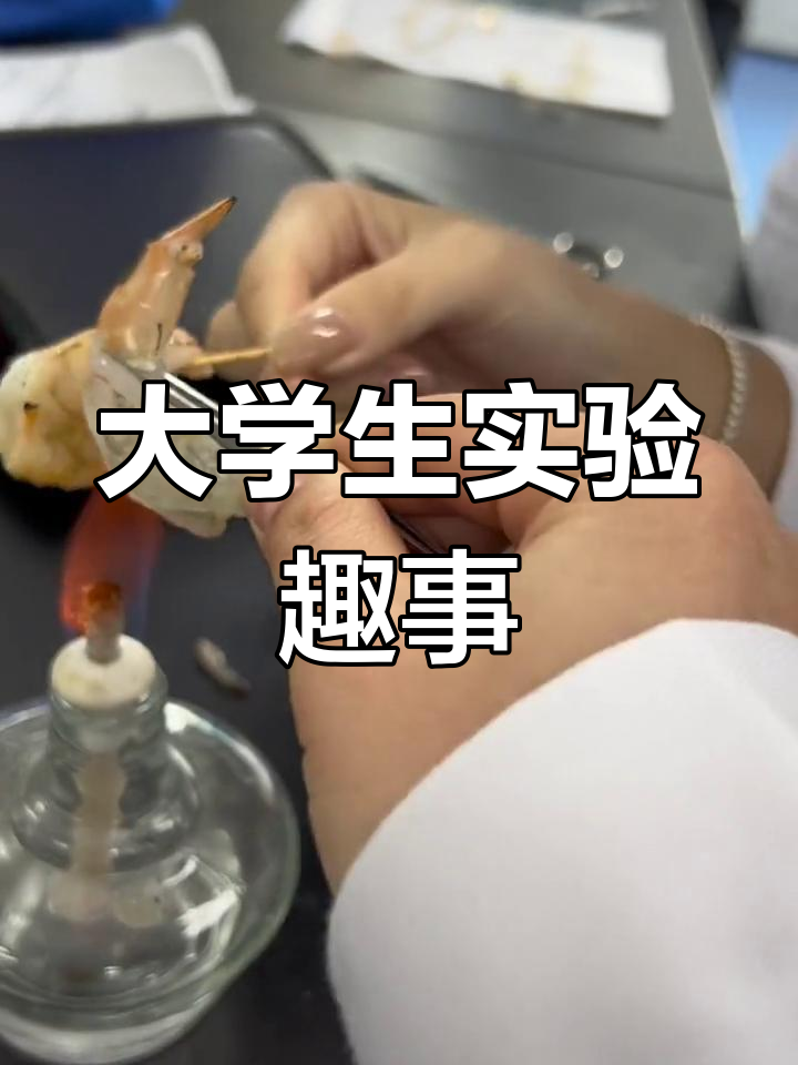 河南师范大学实验室日常,解剖课上的搞笑瞬间