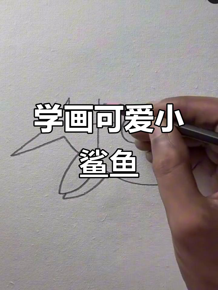 一起动手画一只萌萌的鲨鱼,简单又有趣!