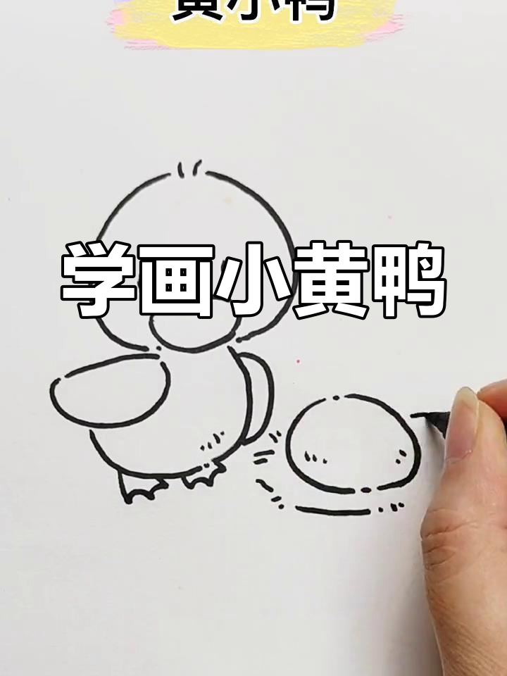 简单几步画出小鸭子