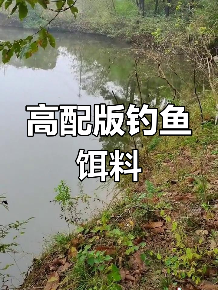 自制饵料抓河虾与麦穗鱼,高配版配方揭秘