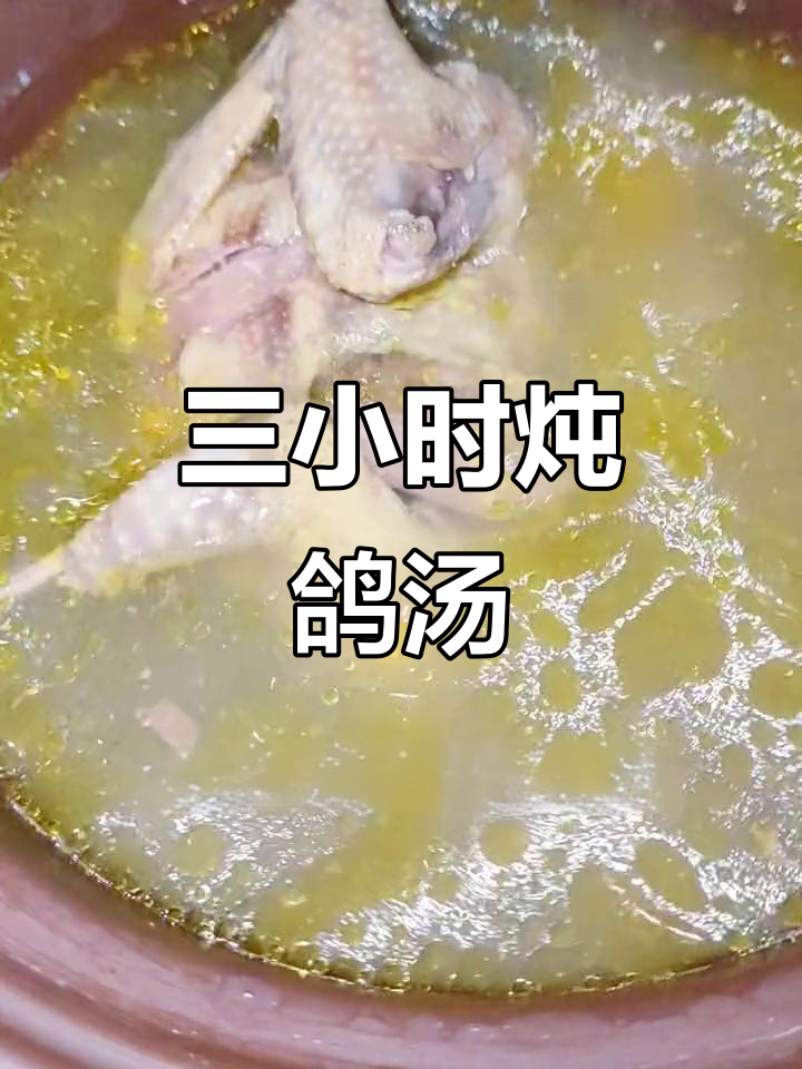 鸽子汤炖三小时,姜片红枣让营养翻倍