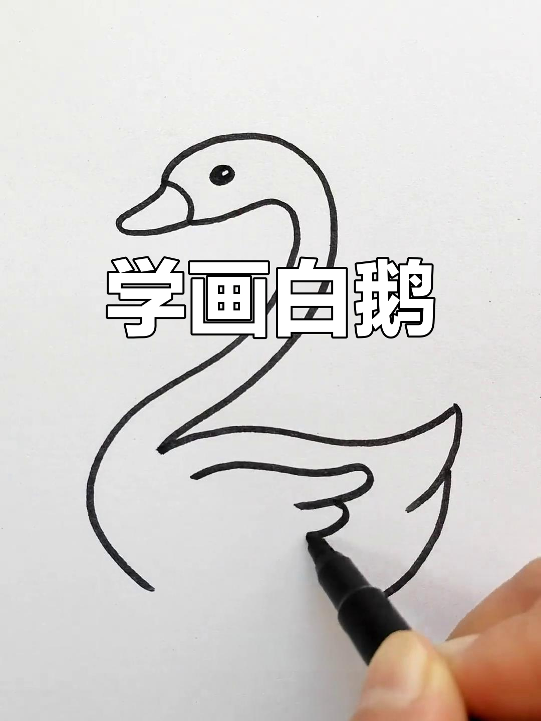 轻松学画大白鹅,简单又好看