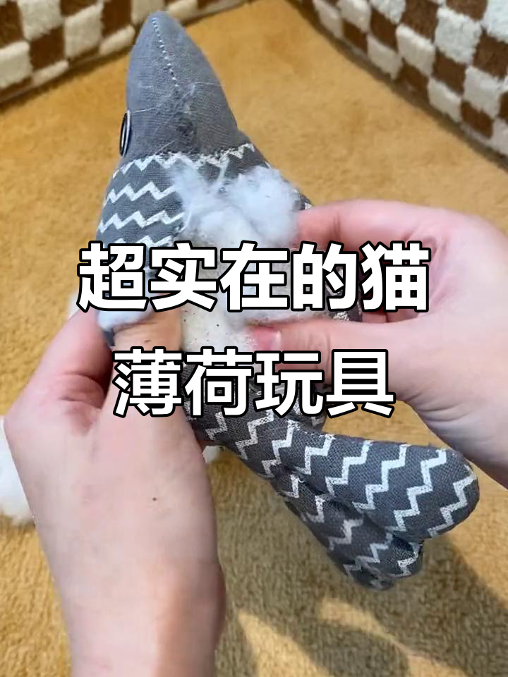 猫薄荷鱼玩具,百分百纯猫薄荷,牙齿清洁又上头