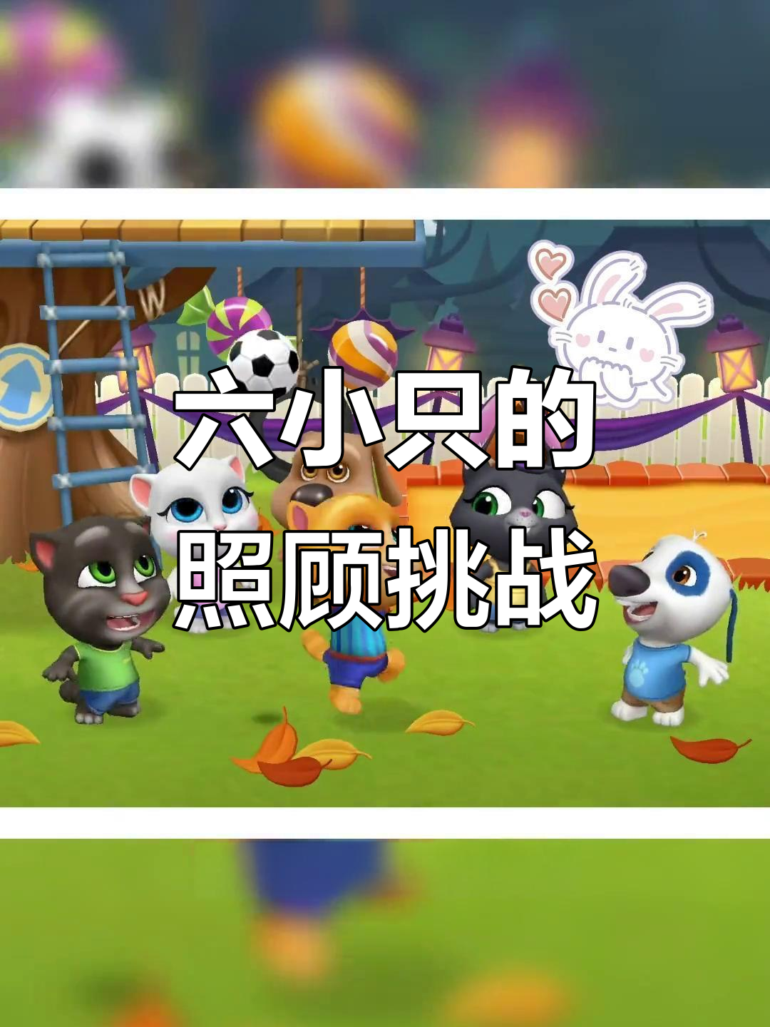 照顾六小只,累到不行!汤姆猫和汉克的足球大战