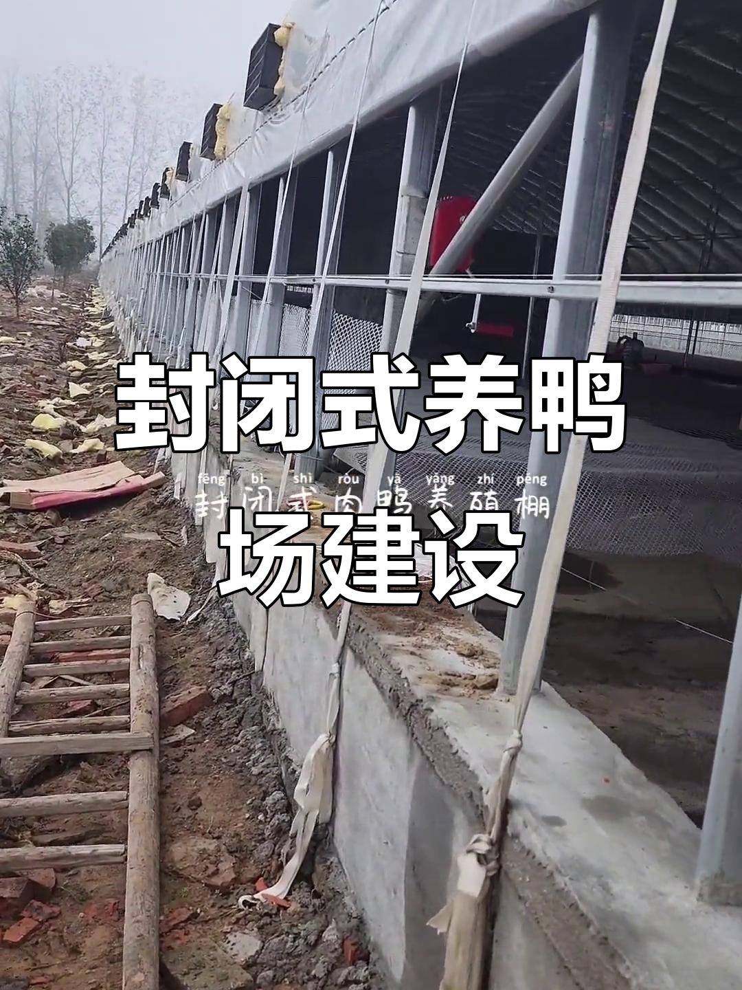封闭式肉鸭养殖棚施工揭秘,通风与保暖完美结合