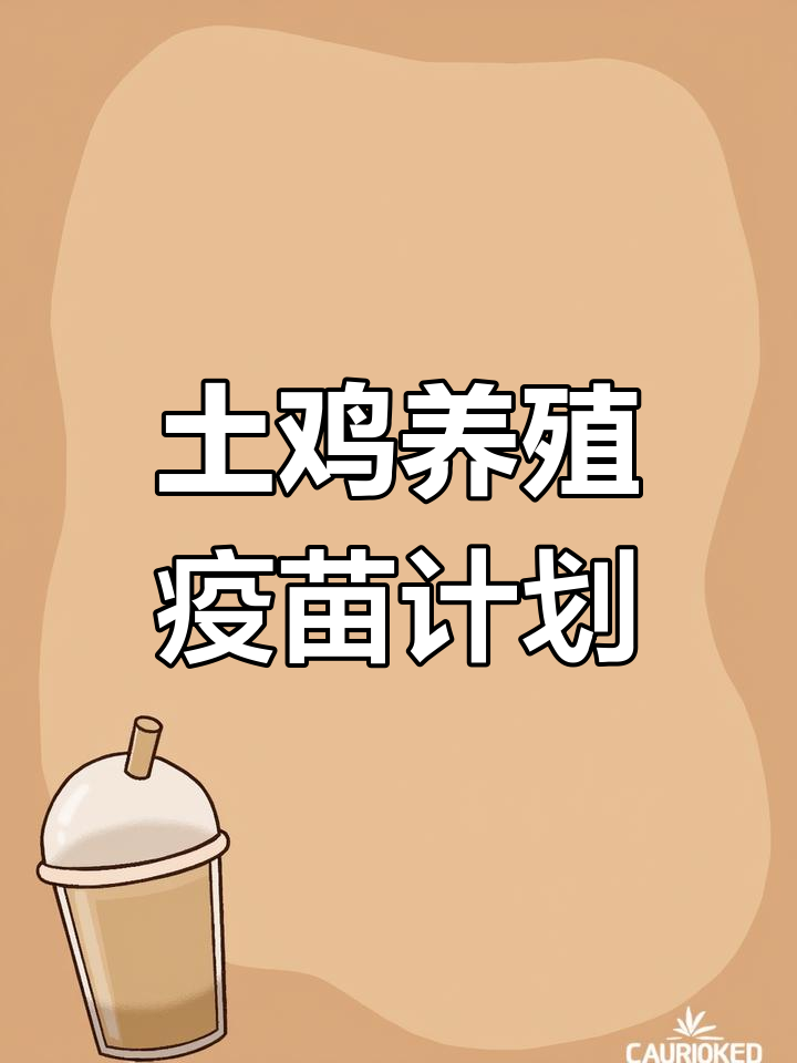 养鸡疫苗全流程,轻松掌握防疫技巧