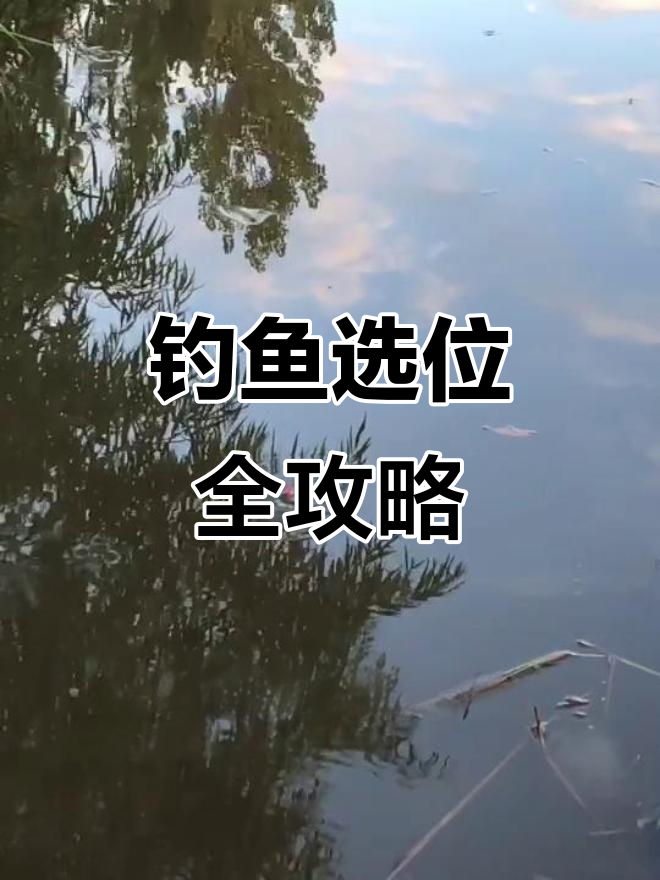 长池方池圆池钓位选择技巧,风向决定最佳位置