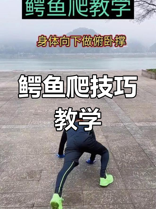 鳄鱼爬动作解析,慢速示范教你轻松掌握!