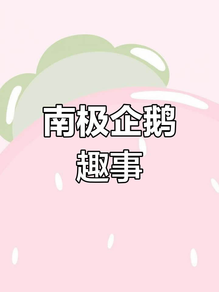 企鹅的奇妙世界:南极最可爱的生物