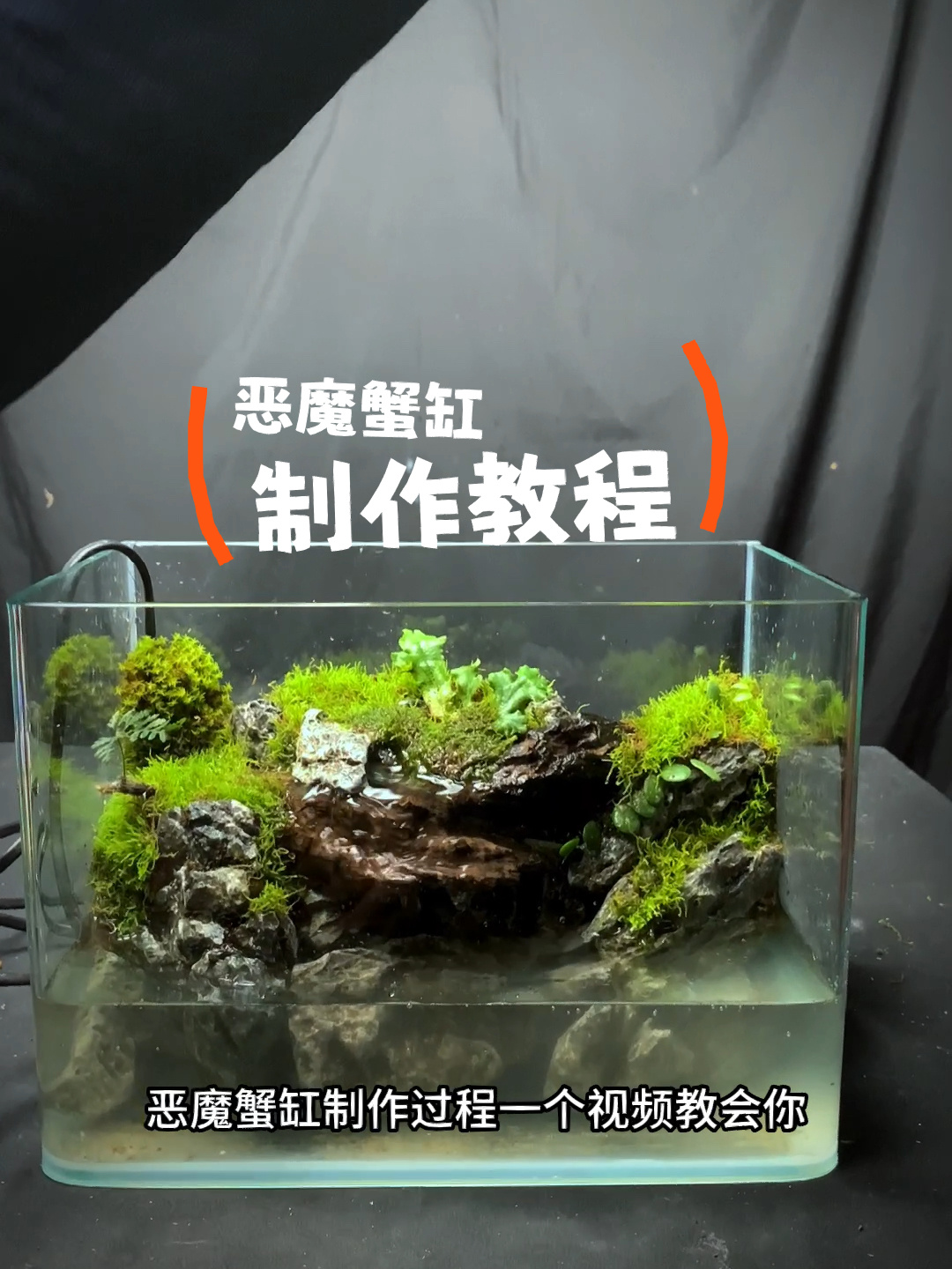 恶魔蟹缸制作教程