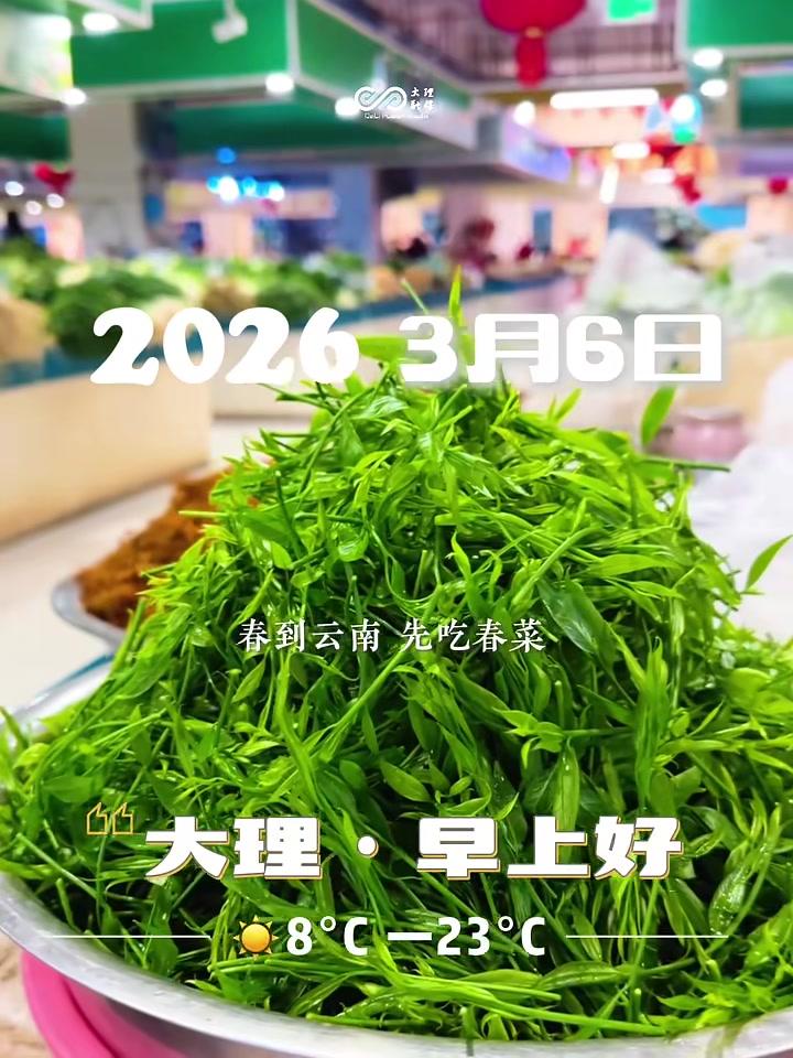 春到云南先吃春菜山野鲜味正当季把整个云岭春天,吃进嘴里。#野菜#春天的味道#云南美食#早安
