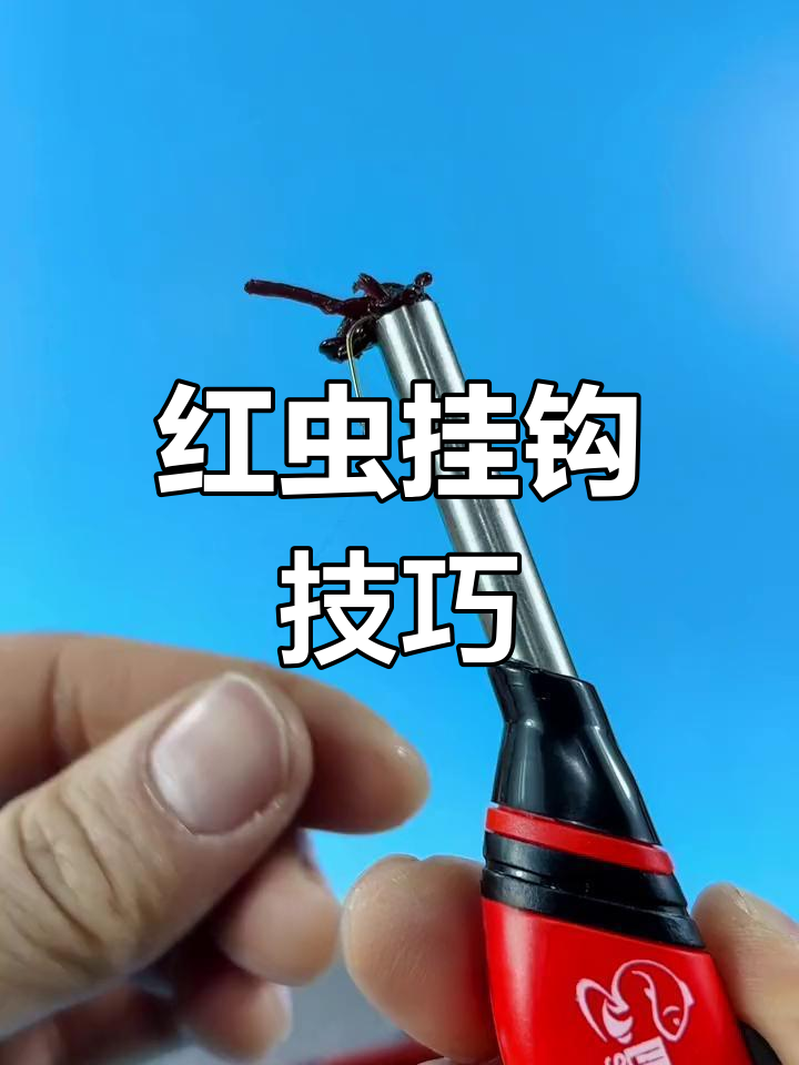 快速制作红虫大饵球,轻松挂钩不脏手