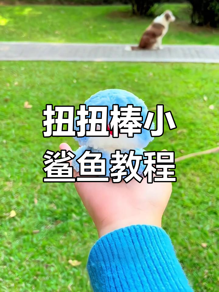 用扭扭棒做萌翻小鲨鱼,教程来啦