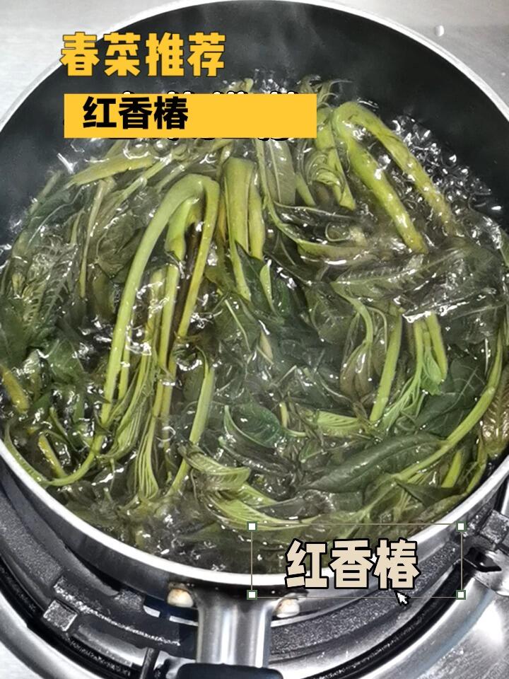 鲜美应季春菜——香椿炒鸡蛋