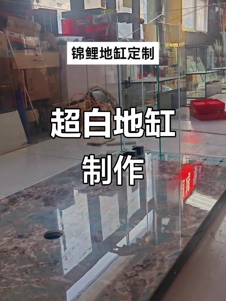 定制两米超白鱼缸，中央走水设计打造完美溪流效果