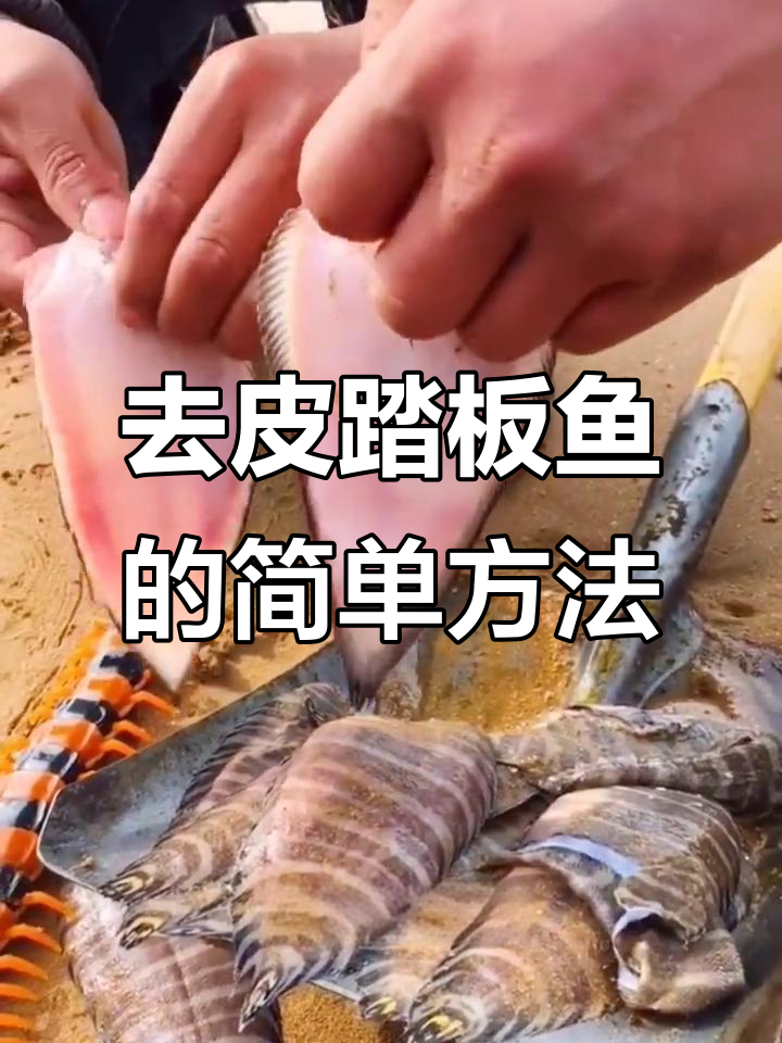 青岛踏板鱼去皮技巧，轻松学会！
