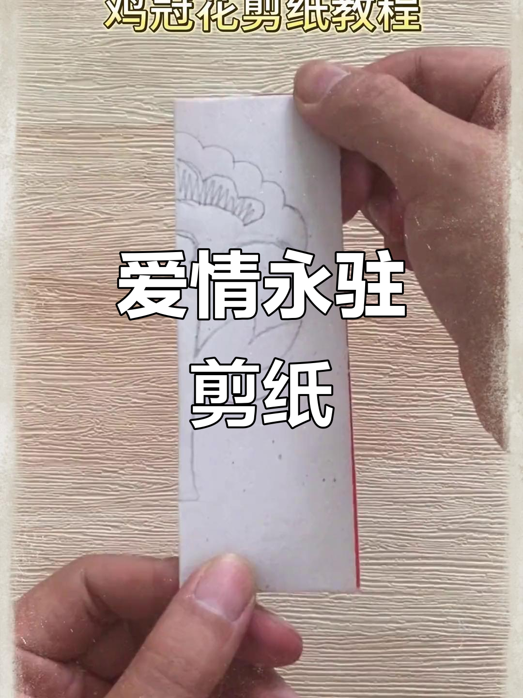 从零开始学剪纸,鸡冠花象征永恒热烈的爱情