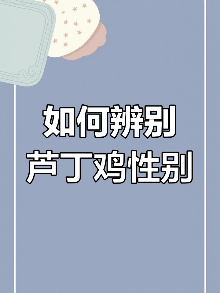芦丁鸡公母分辨技巧,如何判断能否孵蛋