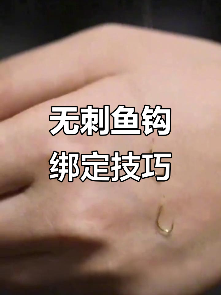 日本进口无刺鱼钩,精绑双钩套装教学