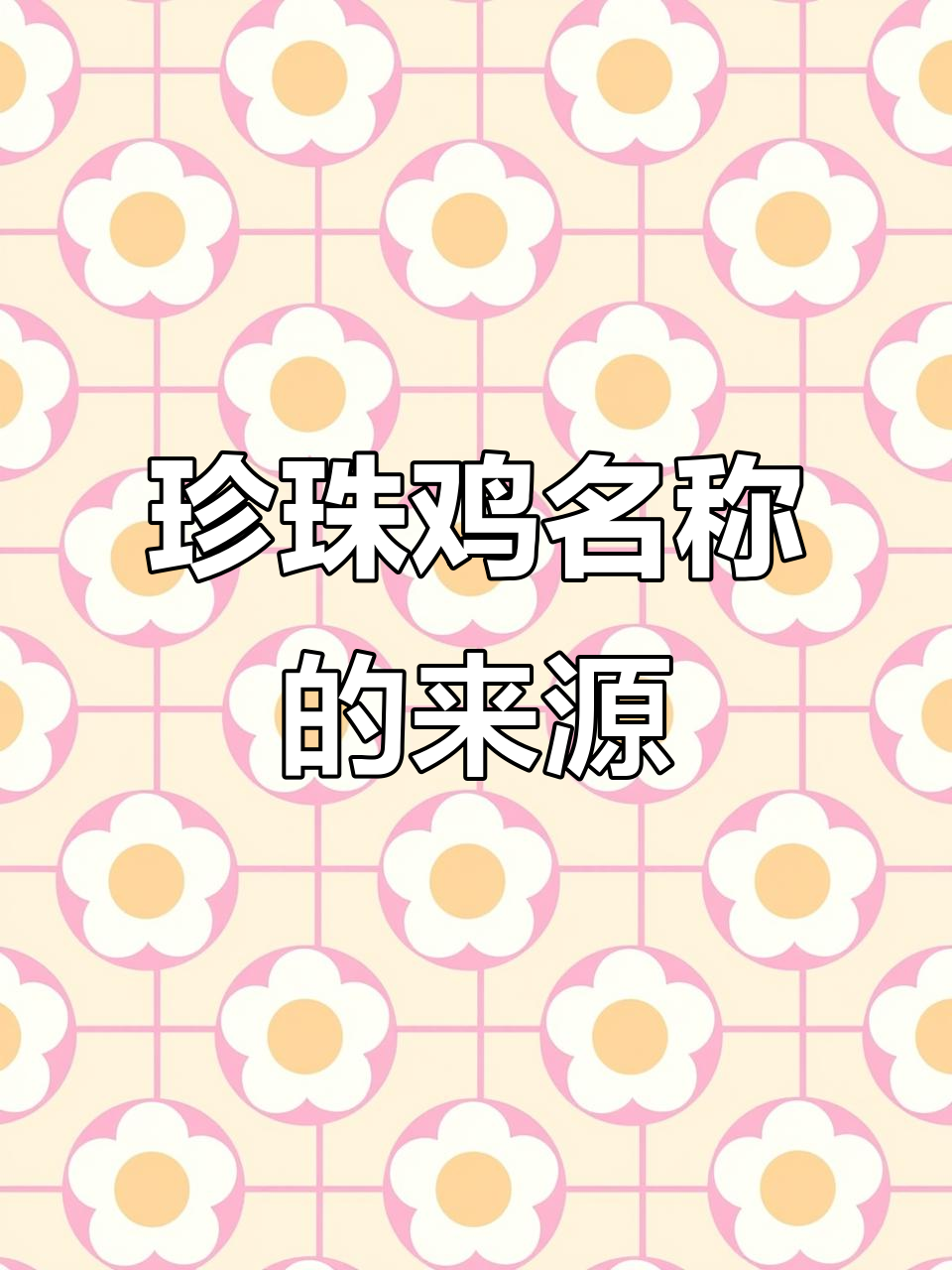 珍珠鸡名字的由来:羽毛如珠,美丽非凡