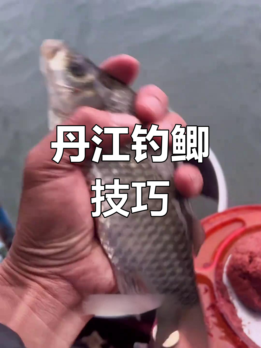 丹江淅川县钓鱼攻略:早晚鱼情好,中午慢口