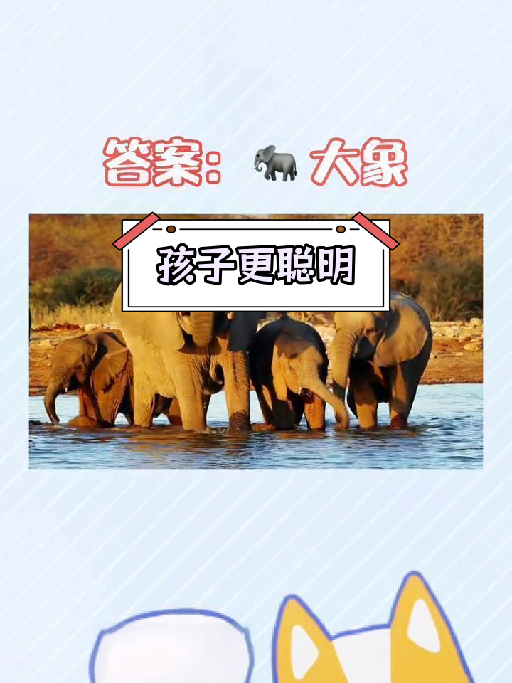 猜谜语,提升孩子智力
