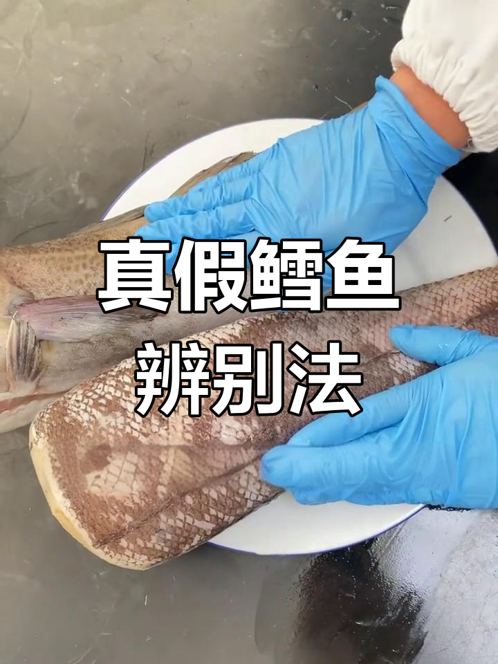 如何辨别真假鳕鱼?避免被水鱼骗