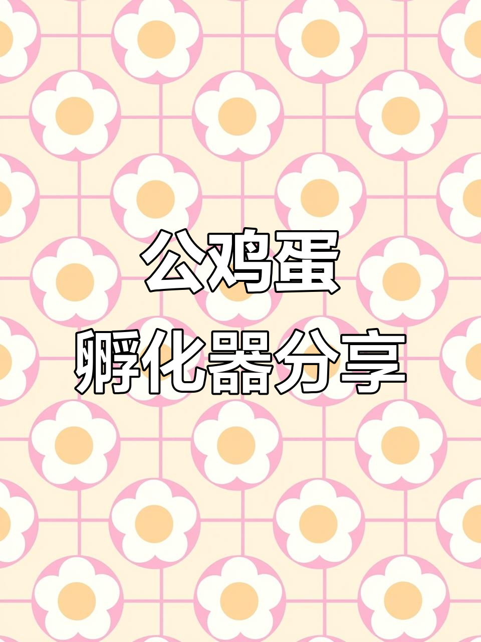 谁家有公鸡蛋?孵化器让你一次看12个小鸡!