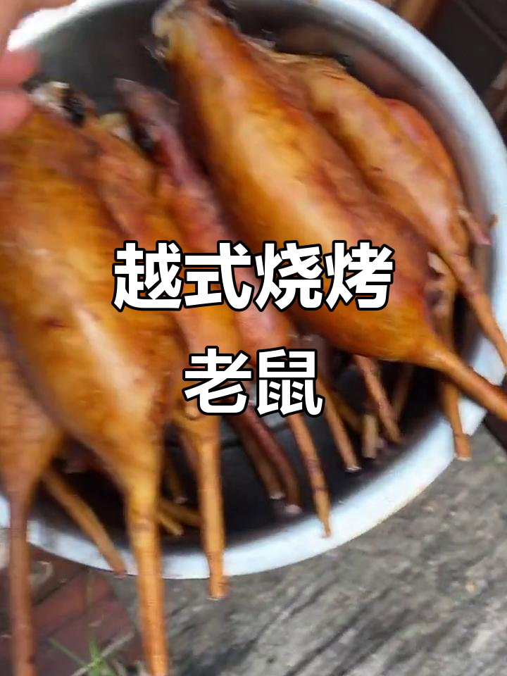 越南烧烤老鼠,火堆里烤出美味,看小哥吃得津津有味