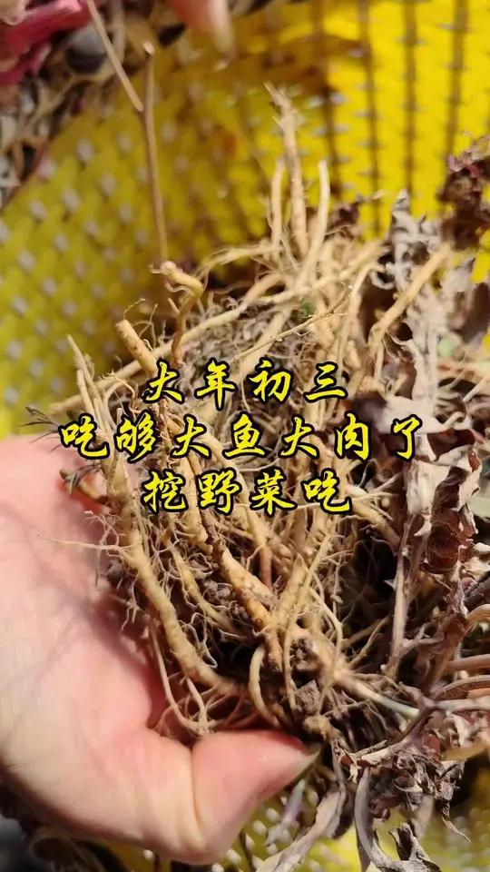 分享视频