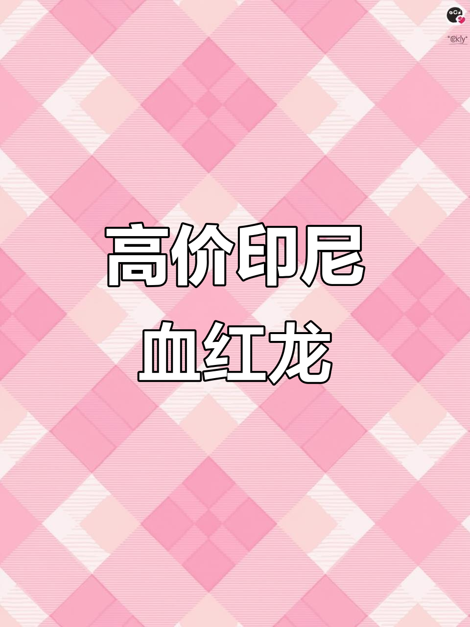 印尼大湖鱼血红龙，六十万美金背后的秘密