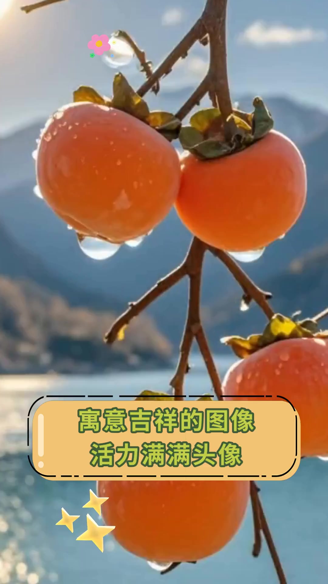 寓意吉祥的图像,活力满满头像