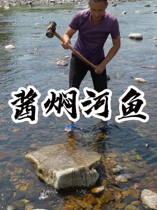 酱焖河鱼 这小鱼抓的太过瘾了,嘻嘻好吃又好玩