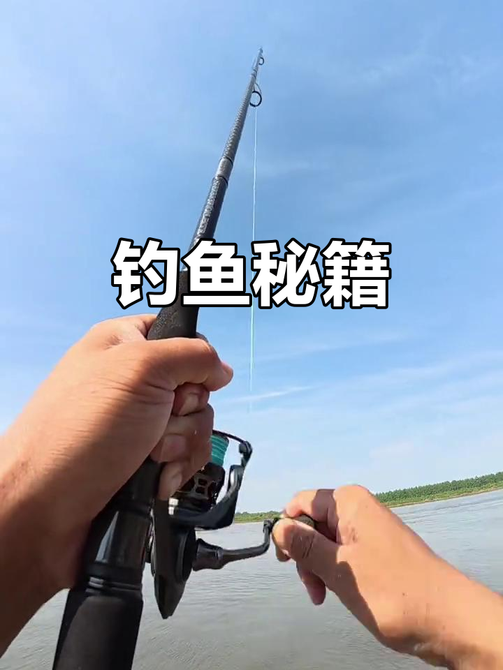 钓鱼技巧全解析:选位、饵料与抛竿要点